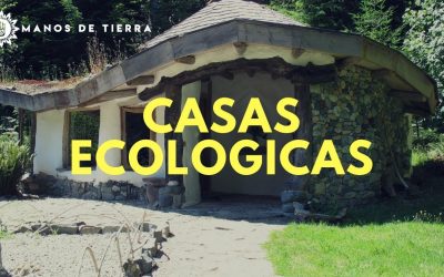 Casas Ecológicas: Diseño Sostenible y Beneficios para el Medio Ambiente
