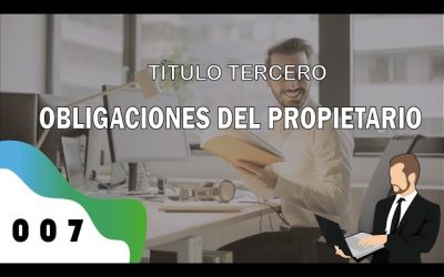 Obligaciones del Propietario: Todo lo que Necesitas Saber para Cumplir la Ley