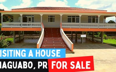 Descubre las Mejores Propiedades en el Campo: Guía Completa para Invertir en Tu Hogar Rural