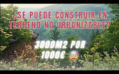 Guía Completa sobre Terrenos Edificables: Todo lo que Necesitas Saber para Invertir