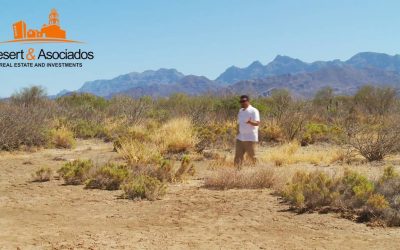 Todo lo que Necesitas Saber sobre Terrenos Rústicos: Ventajas, Usos y Oportunidades