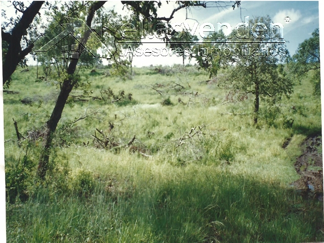 PRO1071 Terrenos en Venta, El Nogalito en Tamaulipas