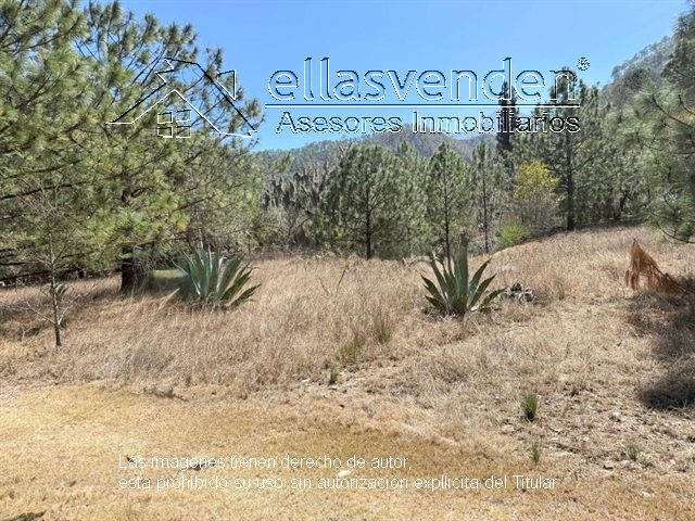 PRO2229 Terrenos en Venta, Cienega de Gonzalez en Santiago