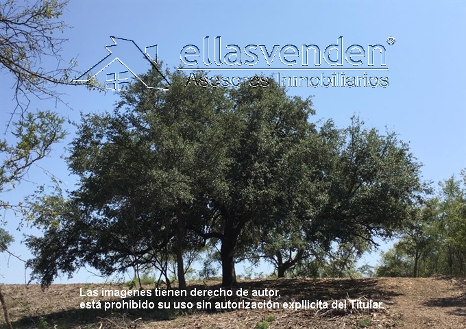 PRO2316 Terrenos en Venta, El Barrial en Santiago